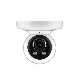 Digital Watchdog MEGApix In/Out Vandal Ball Camera, 2.1MP